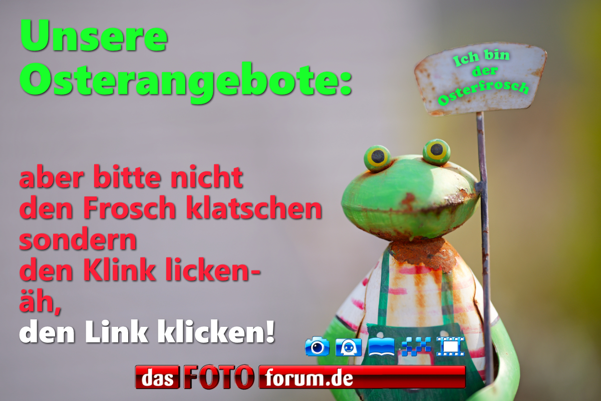 osterfrosch