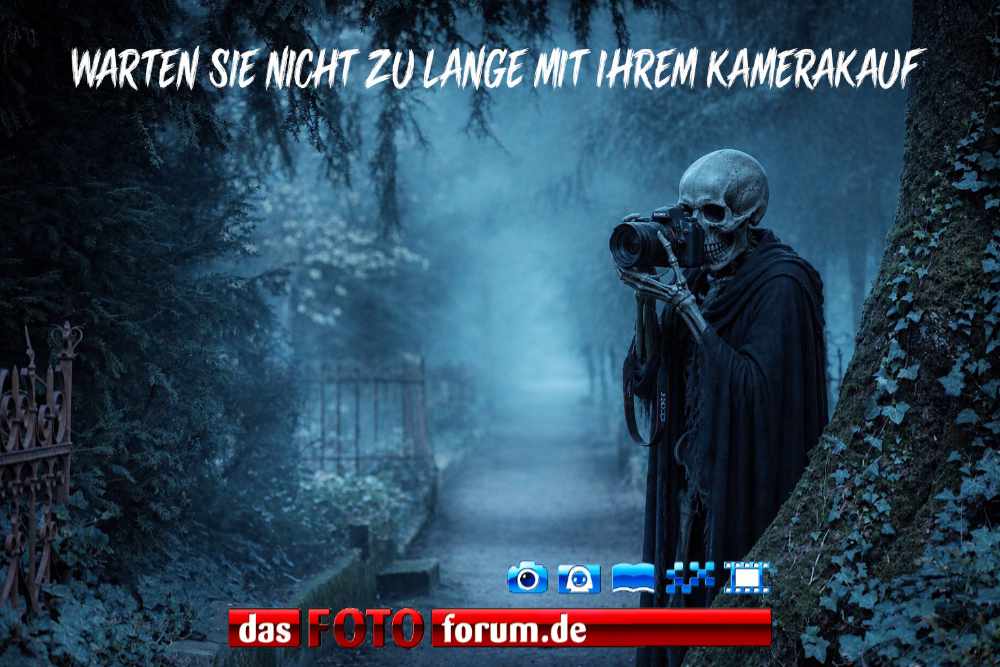 kaufberatung